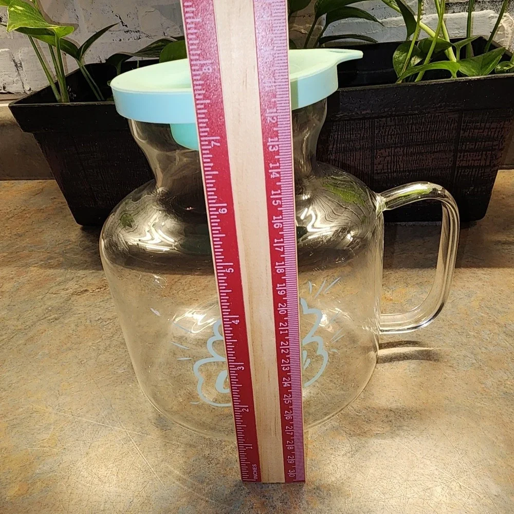 DASH Microwave Popcorn Popper Aqua Glass Silicone Lid 2.5 Qt EUC